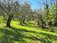 Immagine 14