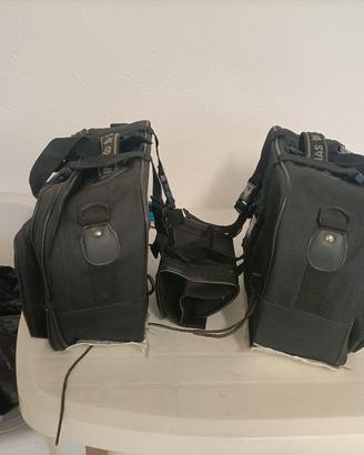 Borse laterali moto  usate 