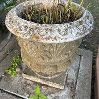 Vaso piante