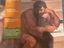 Immagine 1