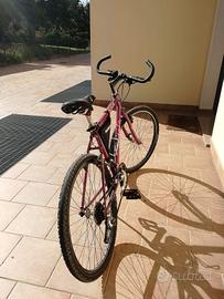 bicicletta MTB atala