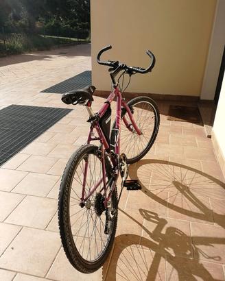 bicicletta MTB atala