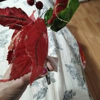 mollettina natalizia