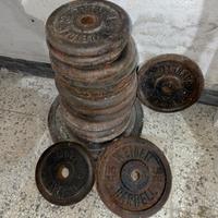 Dischi in ghisa WEIDER BARBELL varie taglie