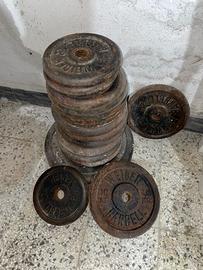 Dischi in ghisa WEIDER BARBELL varie taglie