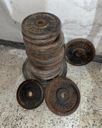 Dischi in ghisa WEIDER BARBELL varie taglie