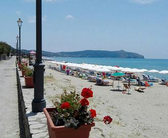 Tra mare e natura Caprioli Palinuro