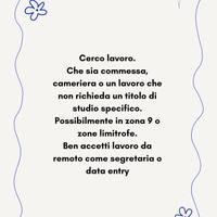 zona nove cameriera commessa o da remoto