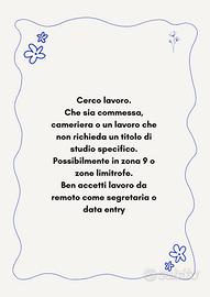 zona nove cameriera commessa o da remoto
