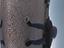 Immagine 14