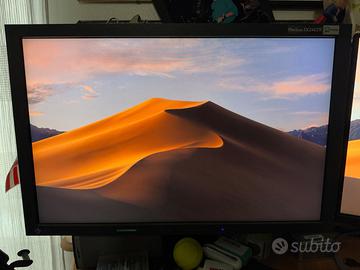 2 Monitor Eizo FlexScan SX2462W SlimEdge 24"+altro