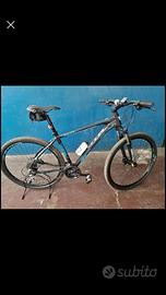 Mtb Daytona 29