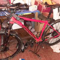 mtb 29 cannondale