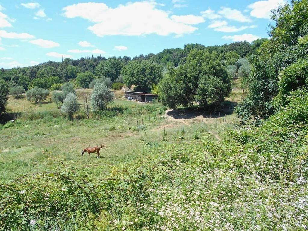 Immobile in asta di 357673 m² a Siena - Vista 4