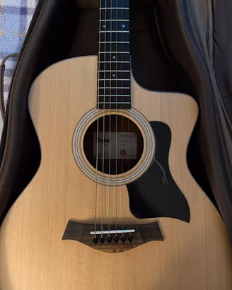 Taylor 114 ce (2 mesi di vita) settata da Lutaio