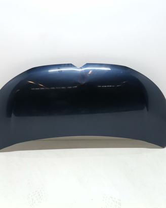 COFANO ANTERIORE CITROEN C1 Serie (PA,PS) 16871422
