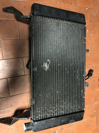 Radiatore hornet 600