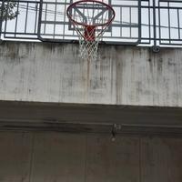 canesto da basket