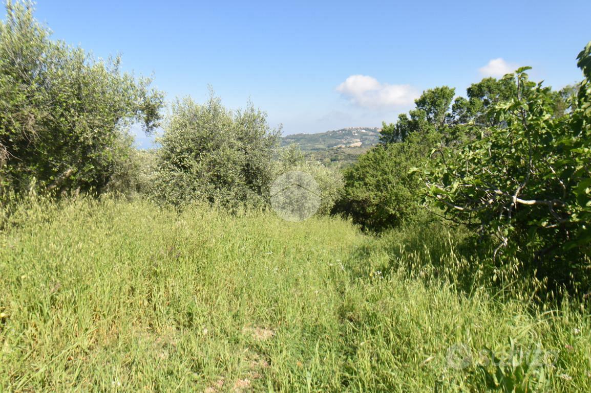 TER. AGRICOLO A TORCHIARA - Vista 3