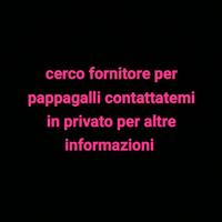 Cocoriti e inseparabili