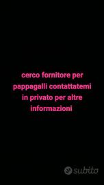 Cocoriti e inseparabili