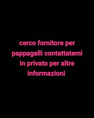 Cocoriti e inseparabili