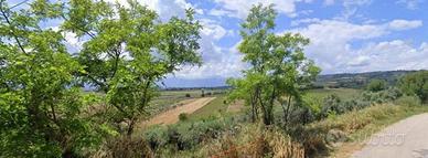 Terreno di 30000 m² a Lanciano