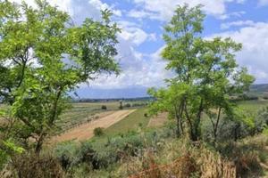 Terreno di 30000 m² a Lanciano
