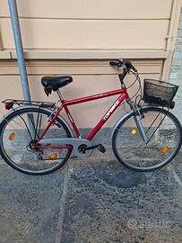 Bici 28 con acceasori