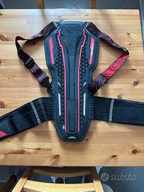 Paraschiena Mtech