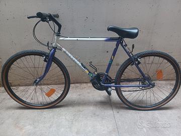 bici uomo bottecchia