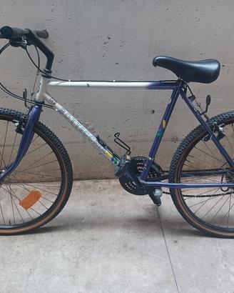 bici uomo bottecchia