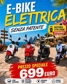 ebike elettrica 250w litio NUOVI