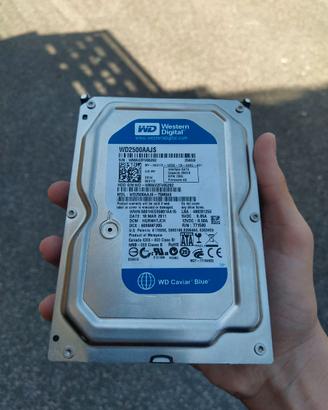 Hard Disk 3.5" 250GB SATA WD - Usato Funzionante