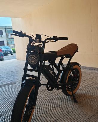 bicicletta elettrica 