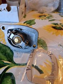 Termostato anticipato motore fire 74°