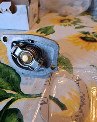 Termostato anticipato motore fire 74°