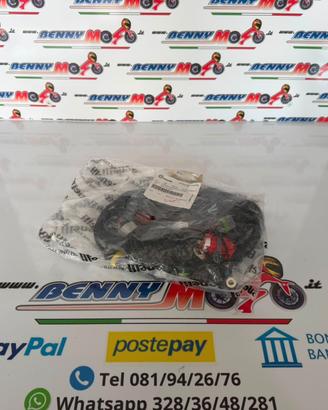 IMPIANTO ELETTRICO SECONDARIO BENELLI LEONCINO 800