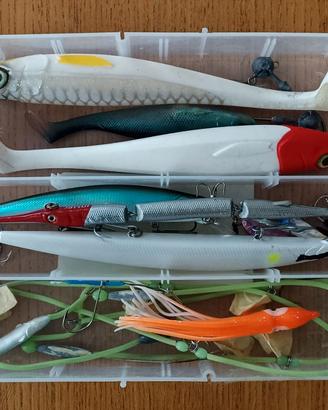Lotto Esche Mare - Long Jerk, Master Shad e Traina