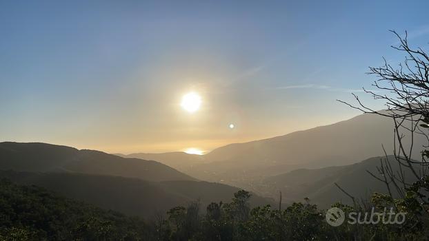 Collina panoramica campo nell' Elba