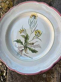 Piatti Primula