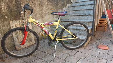 Bicicletta ragazzo