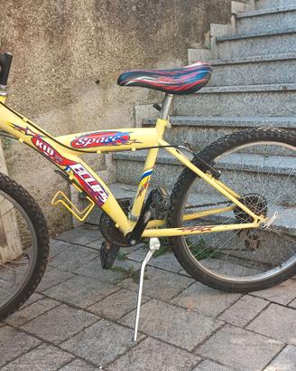 Bicicletta ragazzo