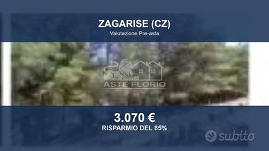 Immobile in asta di 33260 m² a Zagarise