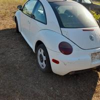 new beetle America 