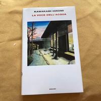 Libro in italiano "La voce dell'acqua"