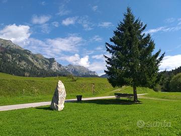 Estate 2026 S.Stefano di Cadore Dolomiti