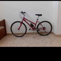 Mountain bike con marce