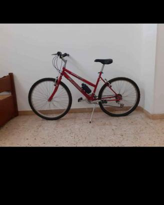 Mountain bike con marce