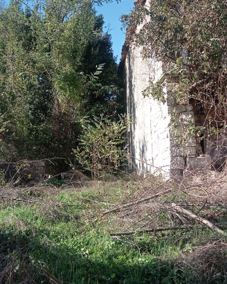 Rustico con terreno